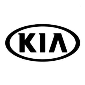 Kia/Hyundai